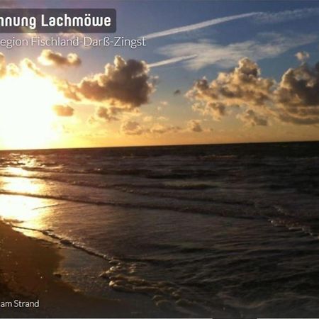 Lachmoewe App 35 Neuhaus  외부 사진